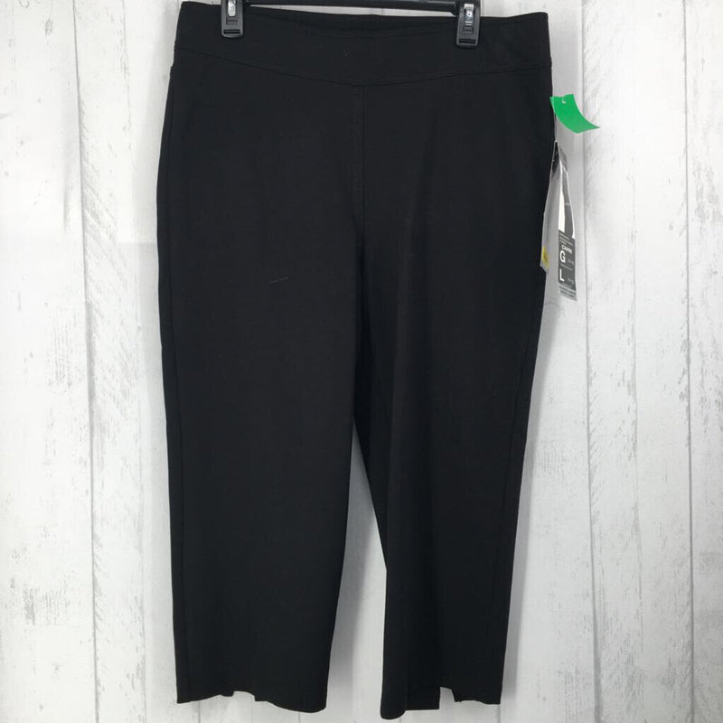 R49 L Capri pants