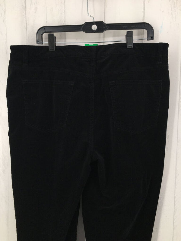 16 Corduroy straight leg pant