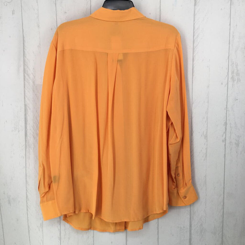 R128 2X Button down l/s top