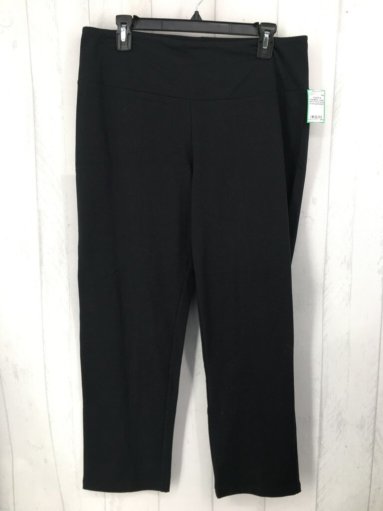 LP pull on knit pants