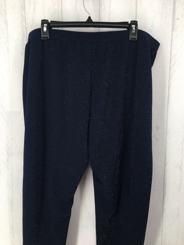 XL Sparkly pull on pants