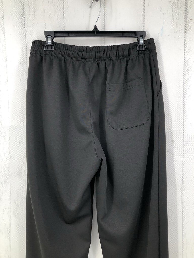 L/XL Pull on pants