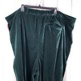 4X Velvet wide leg trouser