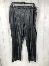 2X Faux leather pants