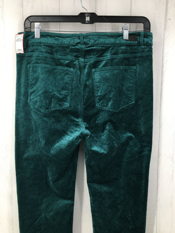 33 Velvet pants