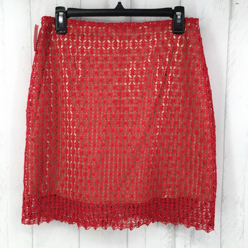 R48 L Mesh lace skirt