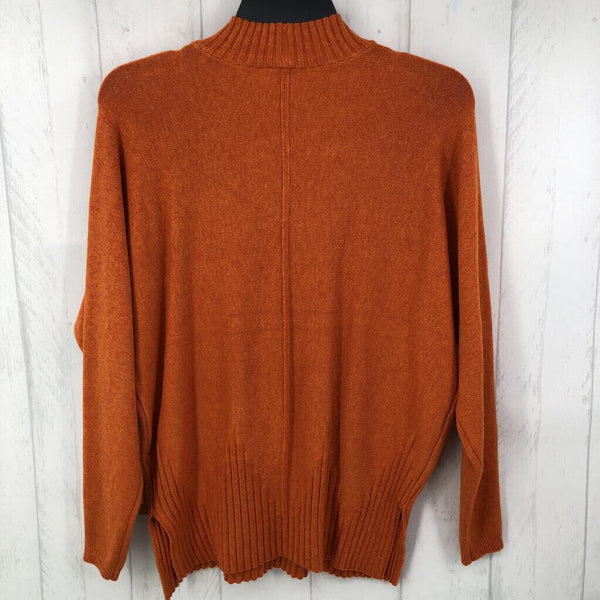 R79 S l/s mock neck sweater