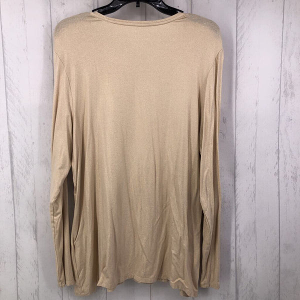 L Shimmery l/s top