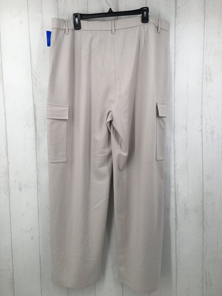 R238 1X Wide cargo pant