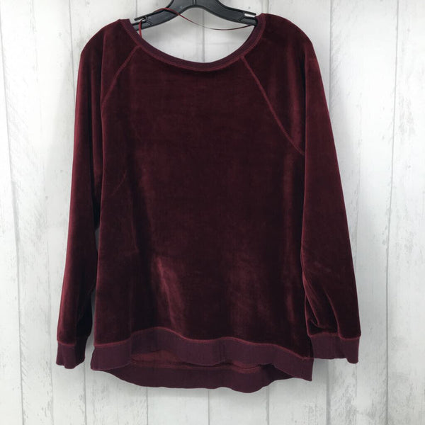 L Velvet l/s top