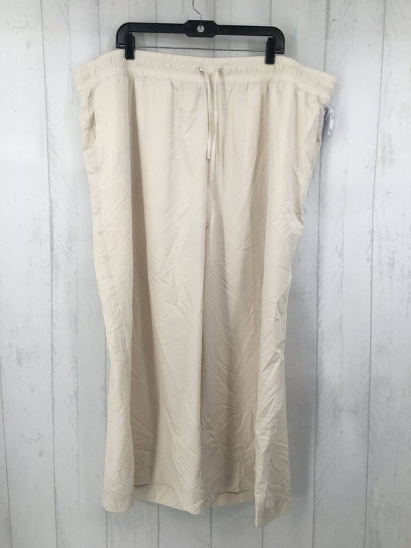 3X Wide leg pants