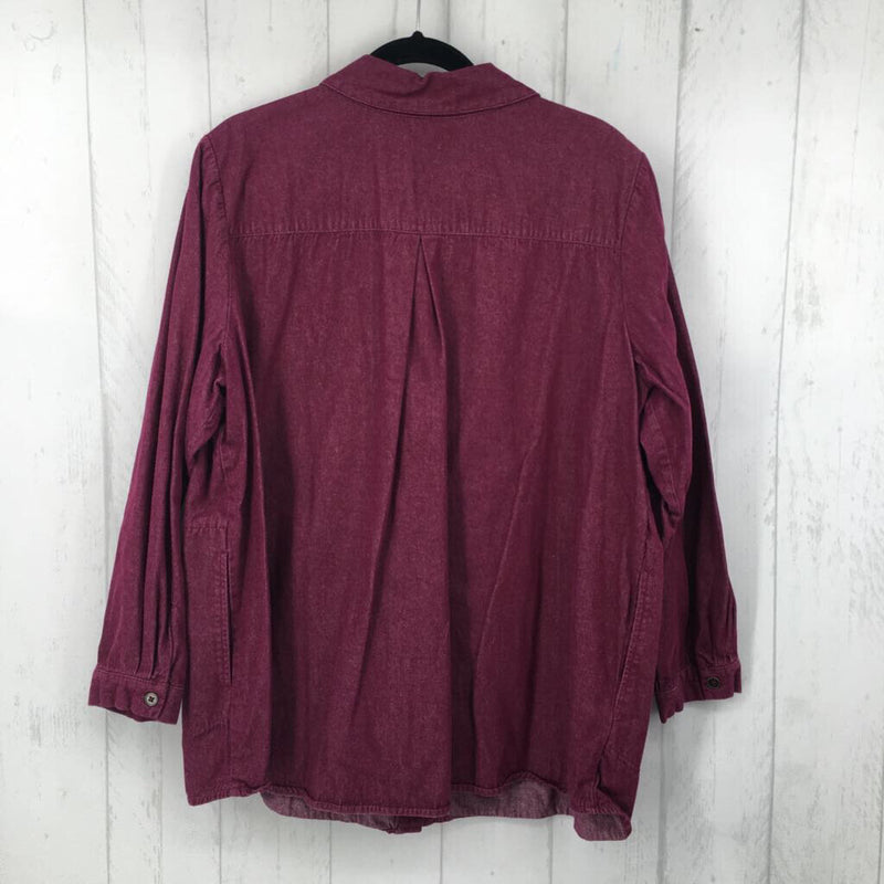 1X Button down l/s top