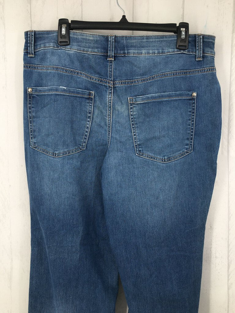 14W Hi-rise curvy jeans