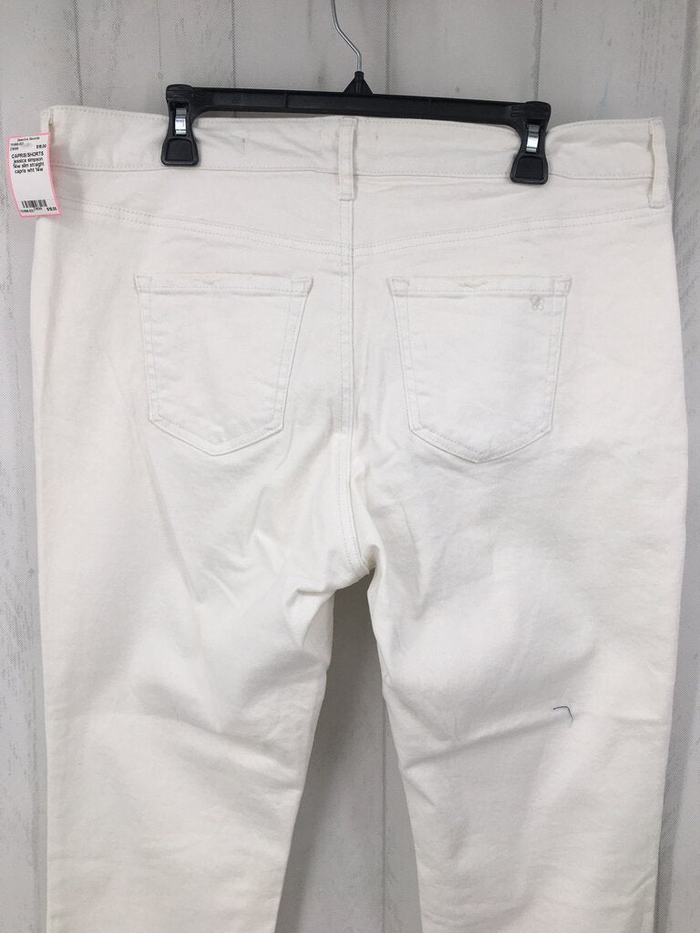 14w slim straight capris