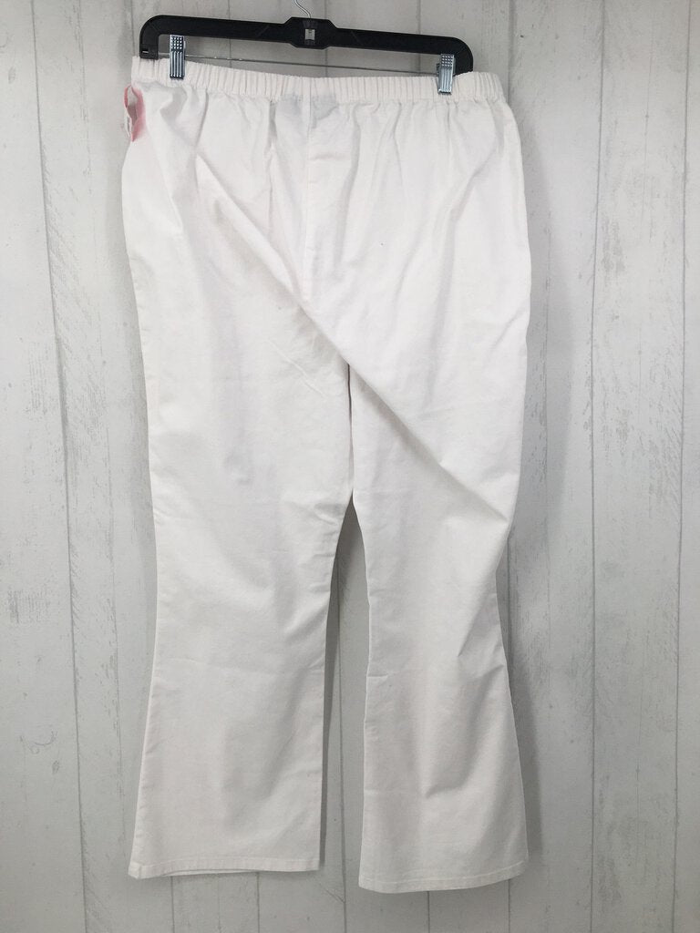 24w pull on pants