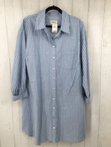 1X Striped l/s shirtdress