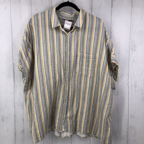 3x s/s pinstripe button shirt