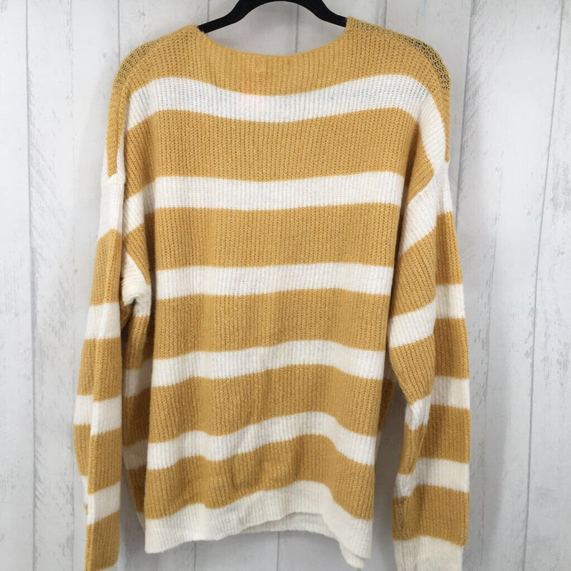 3X Striped v-neck sweater