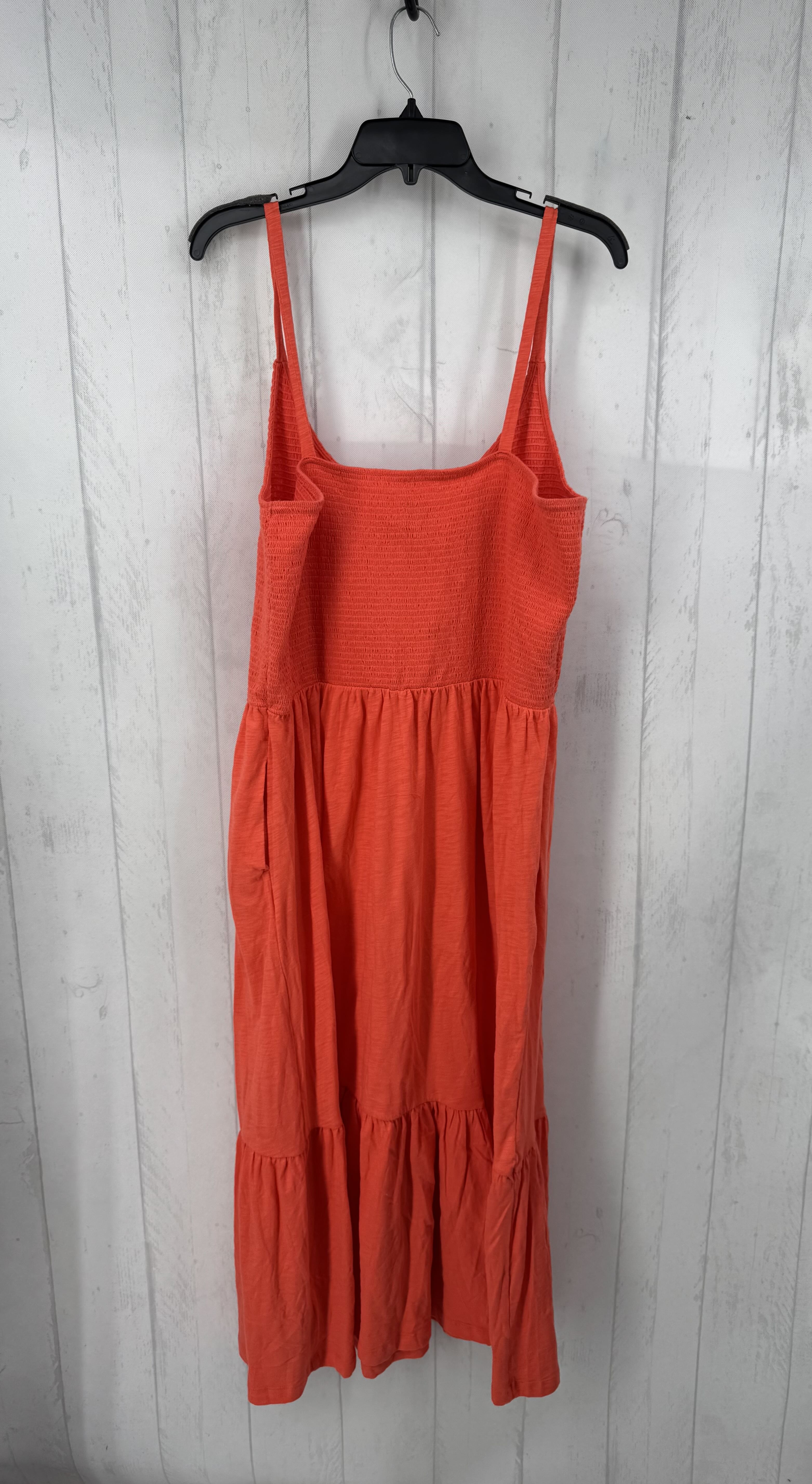 R60 XL Smocked slvls maxi dress