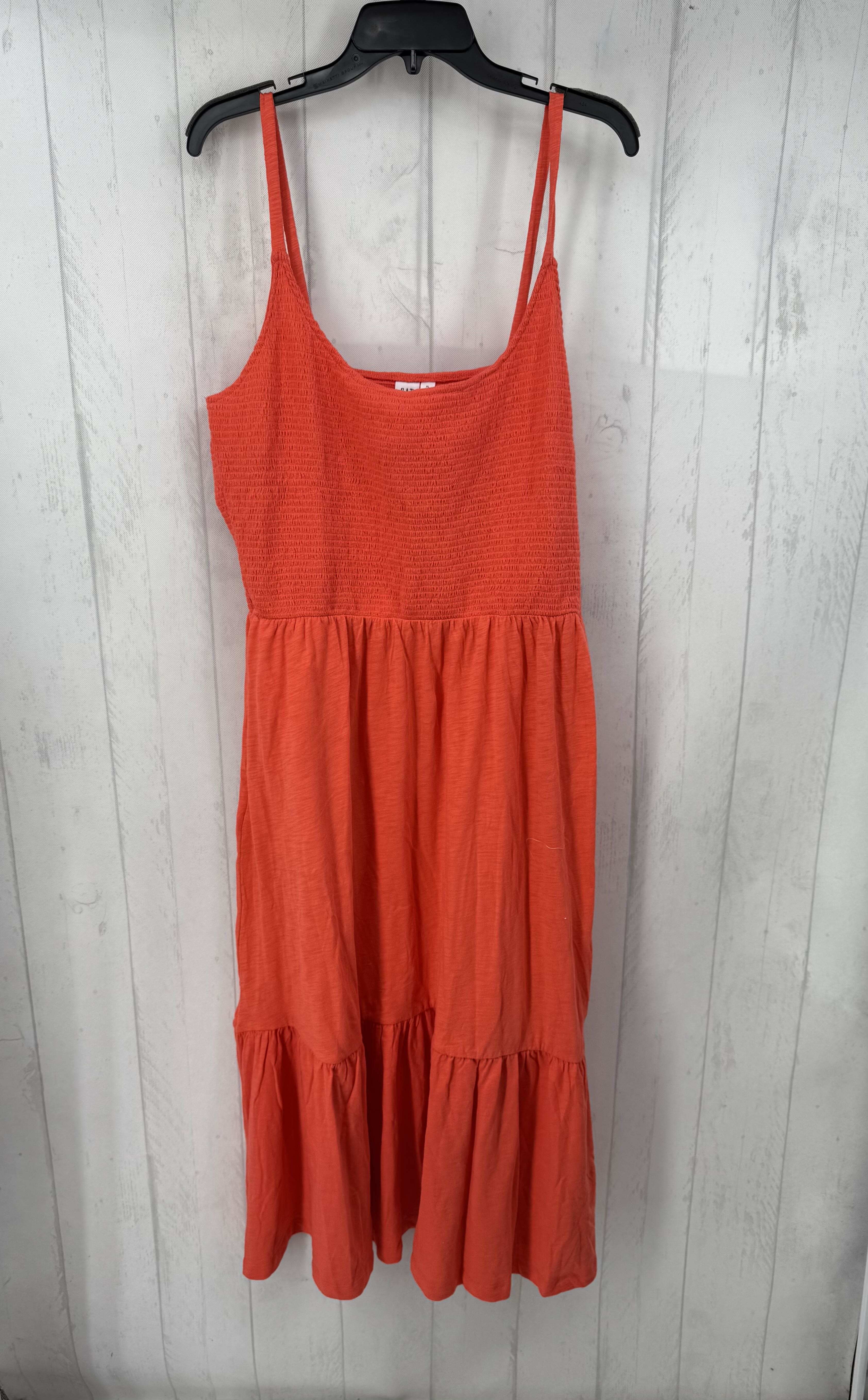 R60 XL Smocked slvls maxi dress