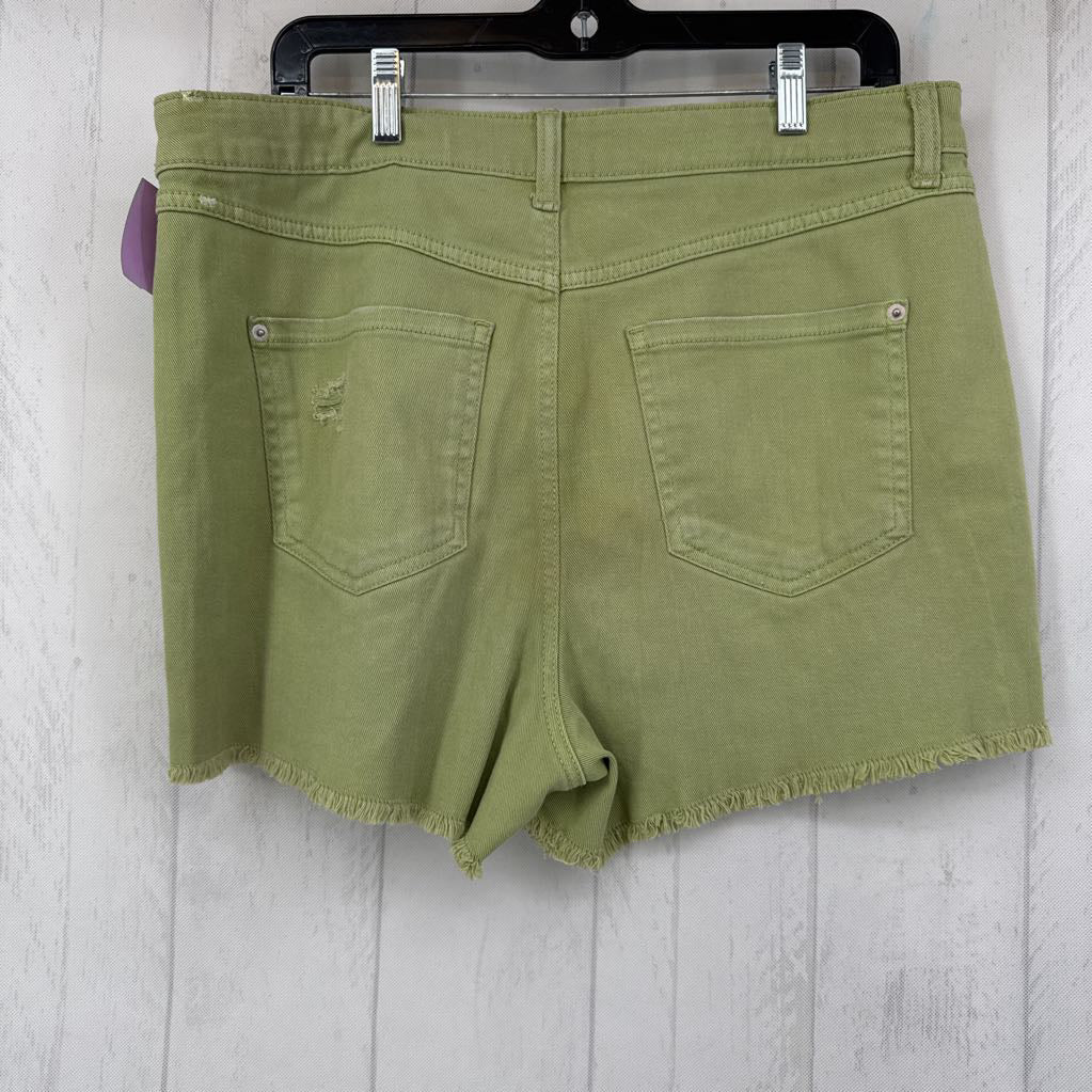 12 high rise distressed shorts