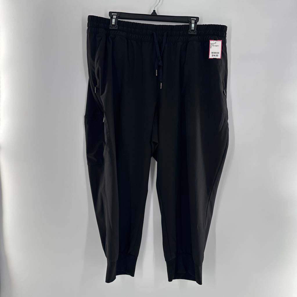 1X crop joggers