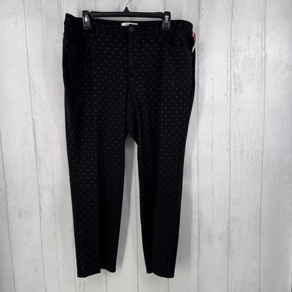 14W polka dot pant