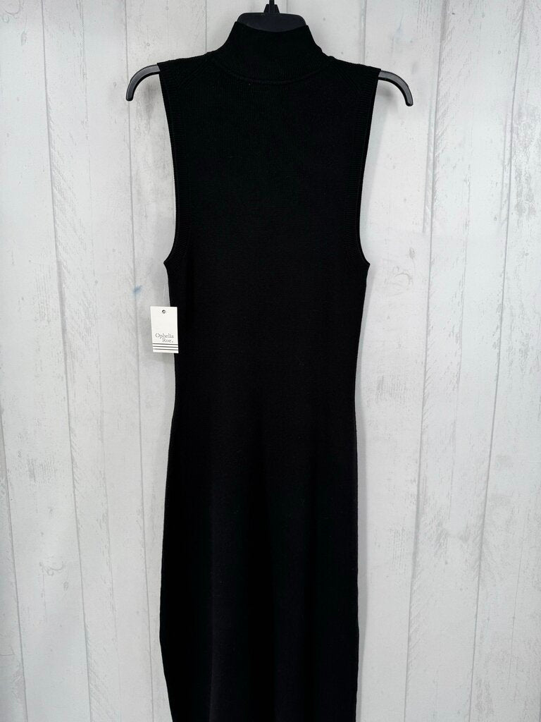 R44 L slvls sweater dress