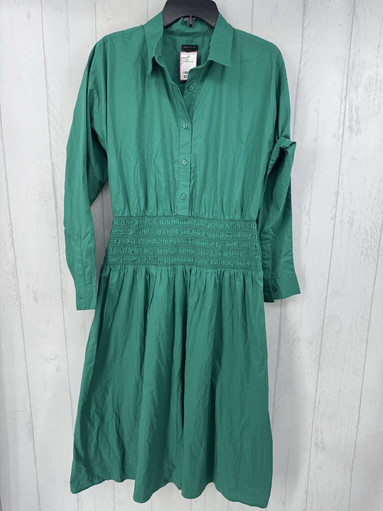 8 smocked waist button down l/s dress