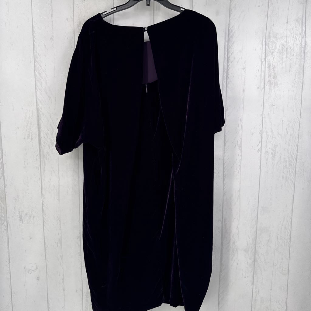 R195 12 velvet s/s dress