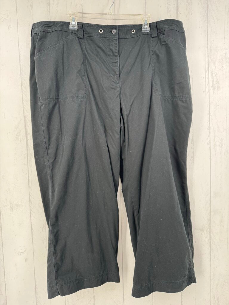 24W wide leg twill pant