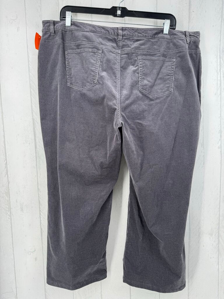 24W corduroy pant