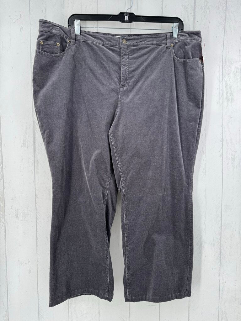 24W corduroy pant