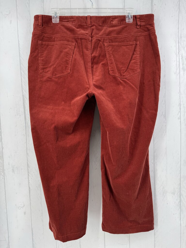 22W curvy fit corduroy pant