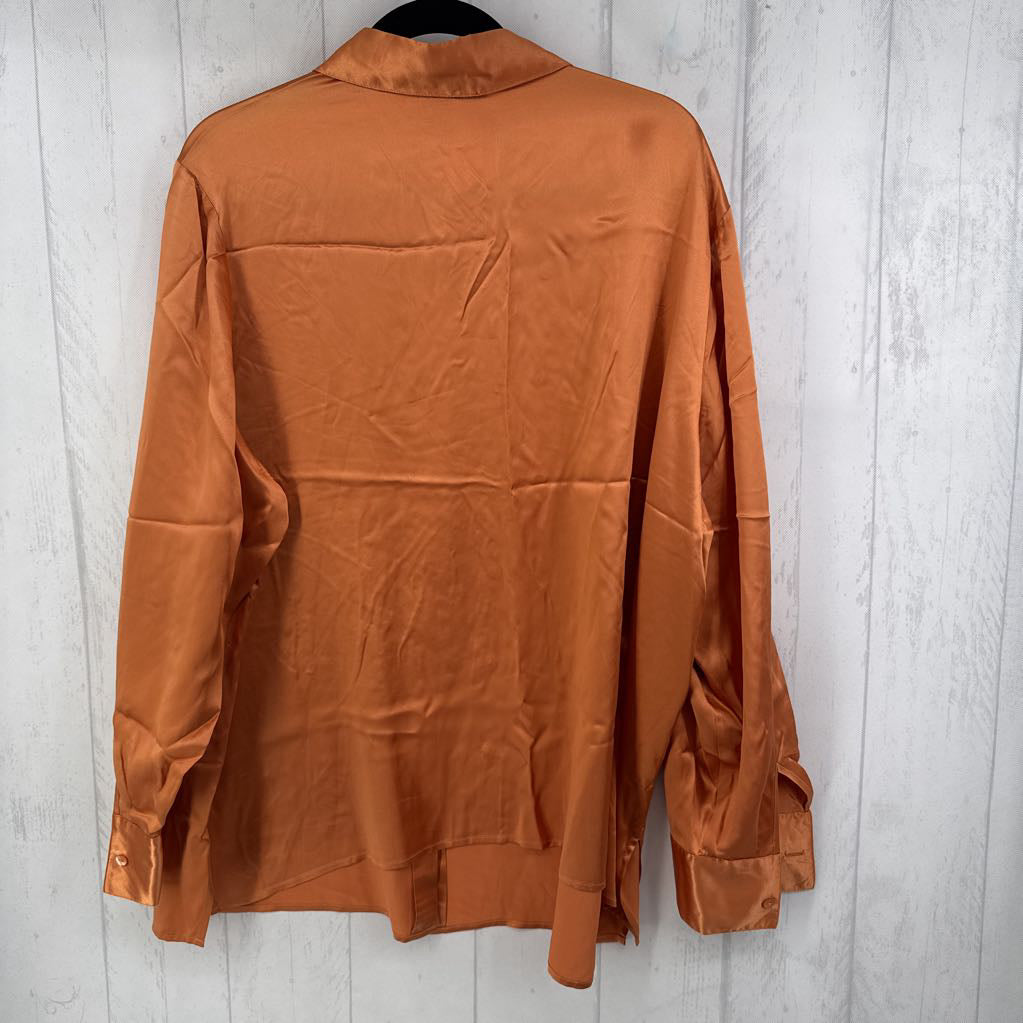 26 silk button down l/s top