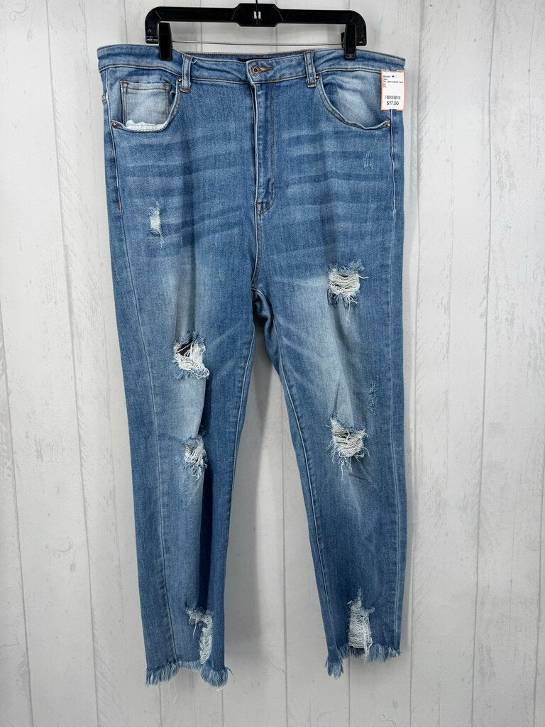 2XL distressed raw edge jean
