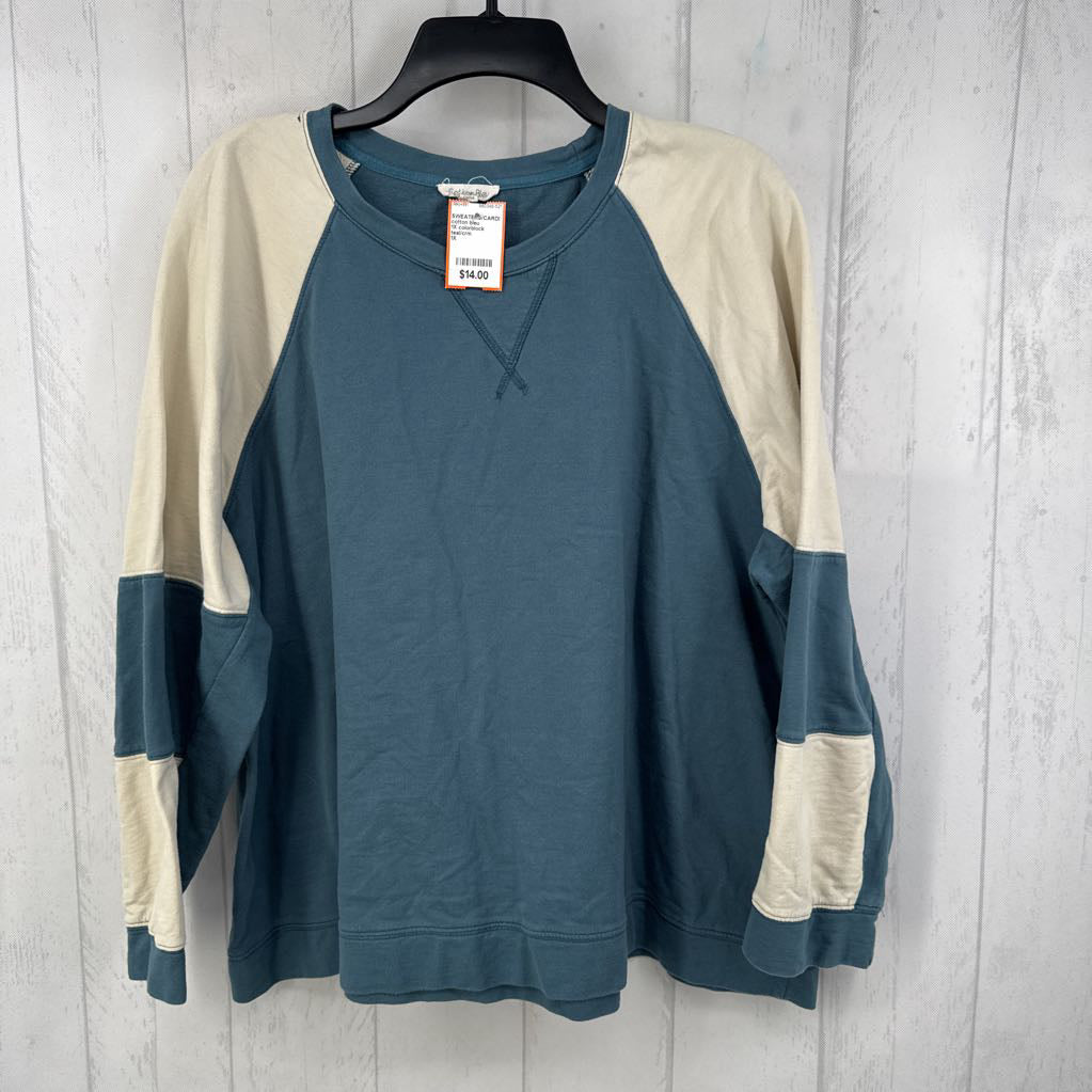 1X colorblock crewneck sweatshirt