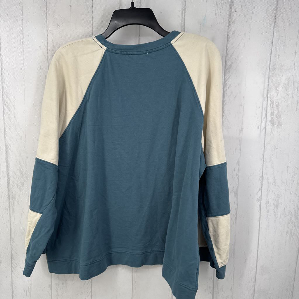 1X colorblock crewneck sweatshirt