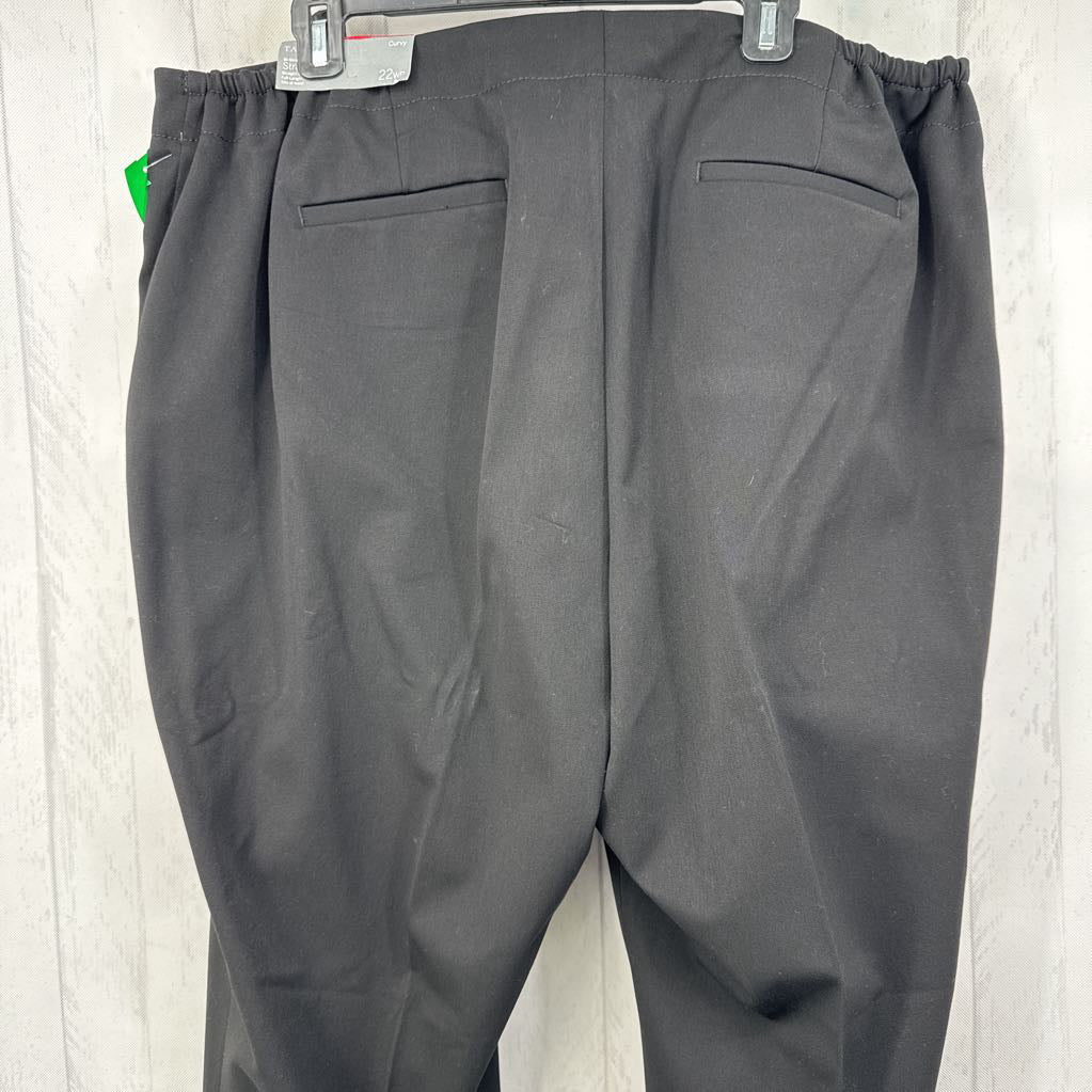 22WP Curvy Straight-Leg Pants