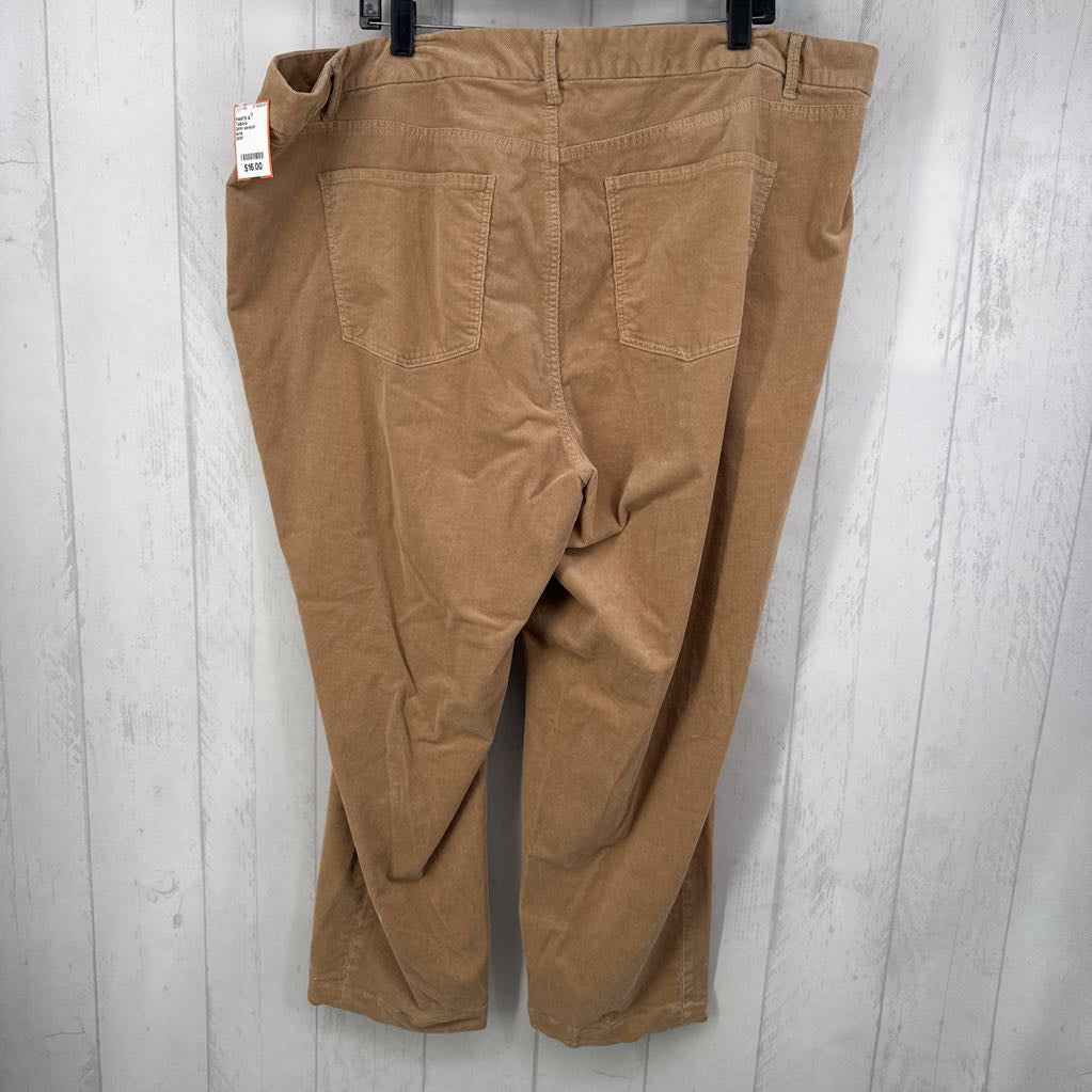 24W stretch corduroy pant
