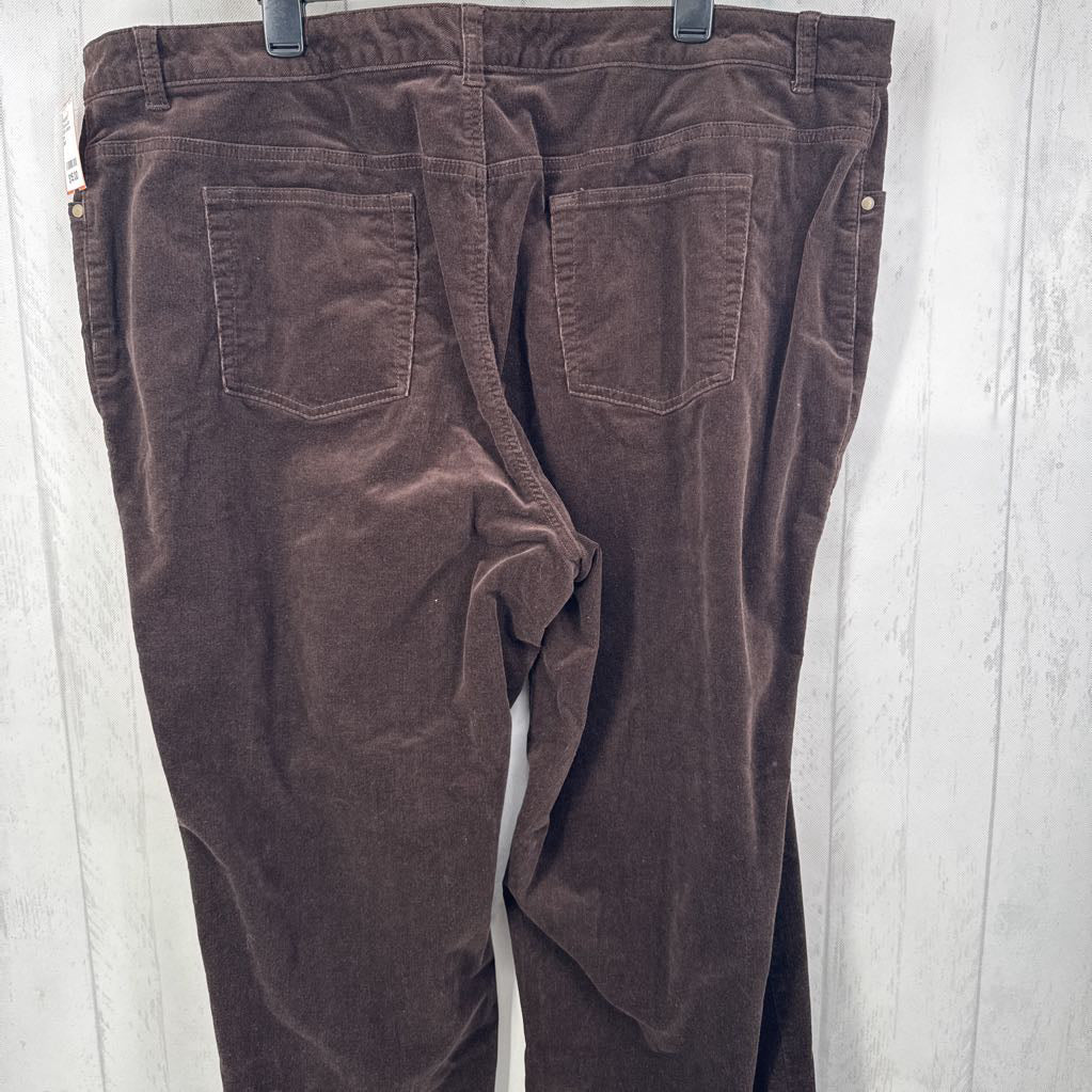 24W corduroy pants
