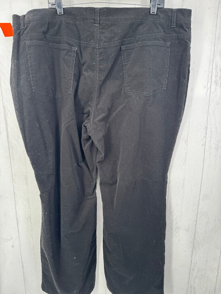 22W stretch corduroy pant