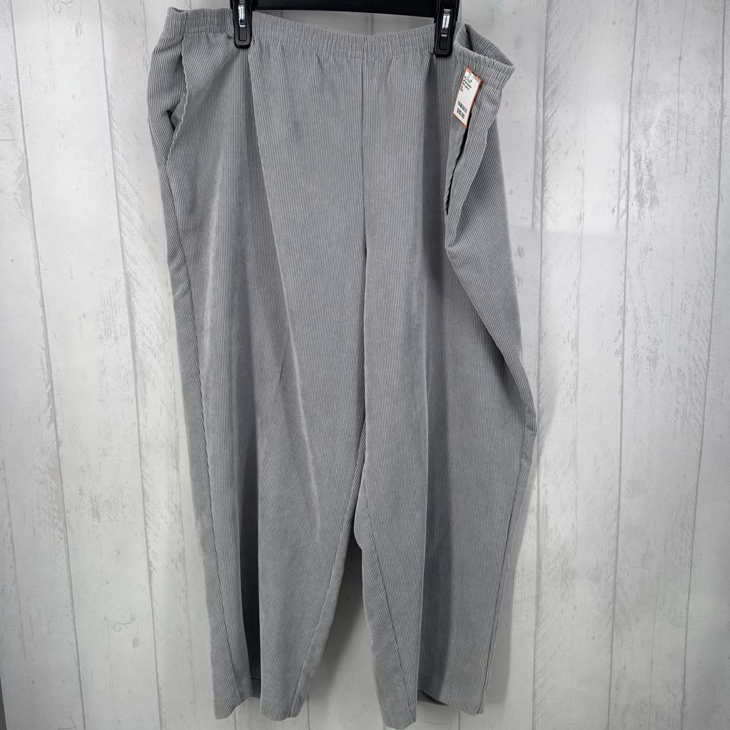 22W pull-on corduroy pant