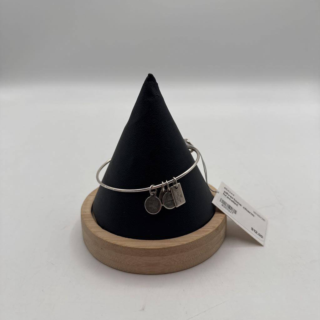 silvertone charm bracelet