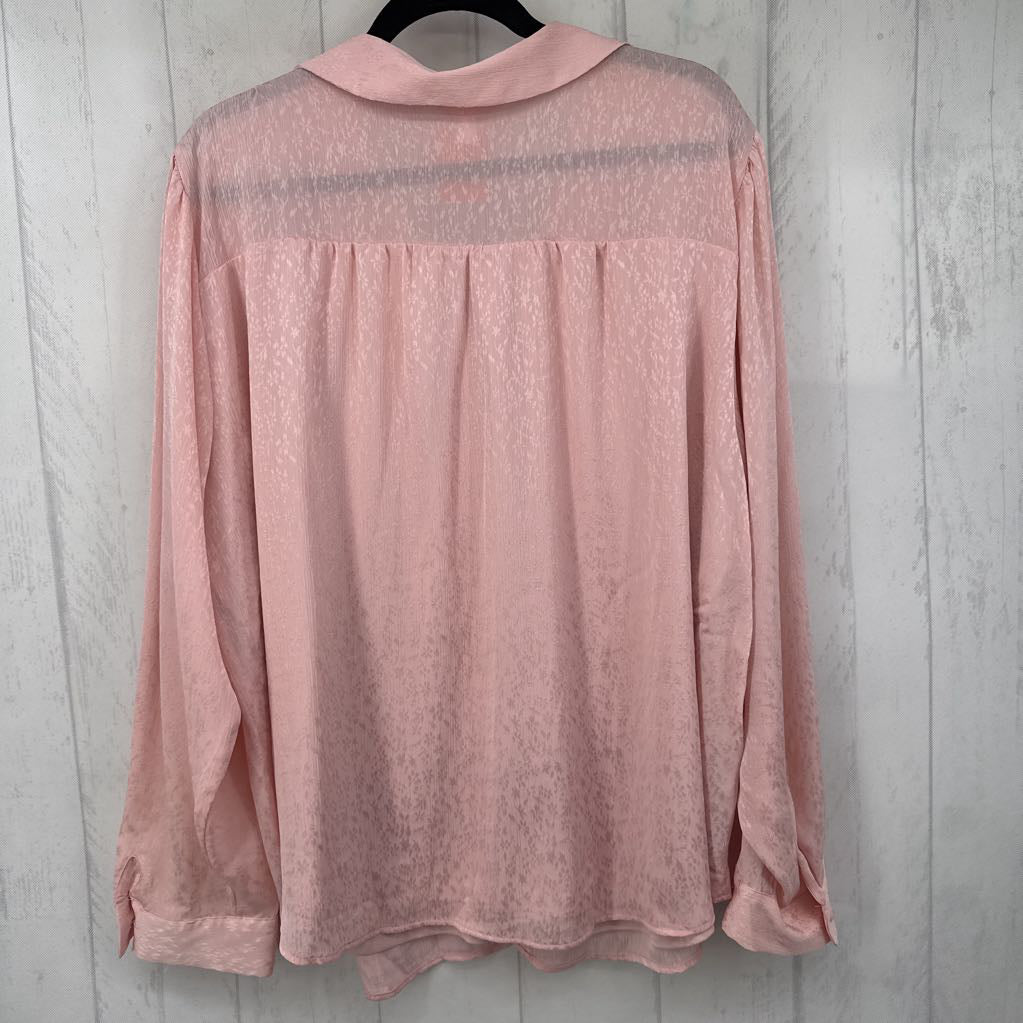 R52 2X button down l/s top