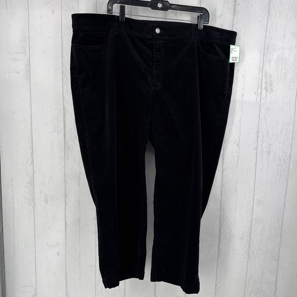 24W corduroy pants