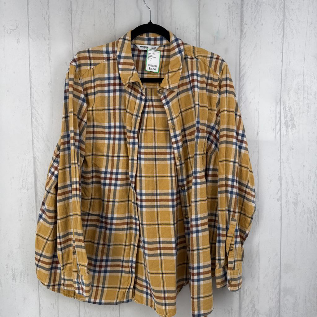 1Xplaid button down l/s top