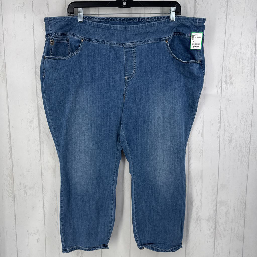 28wp pull on jeans