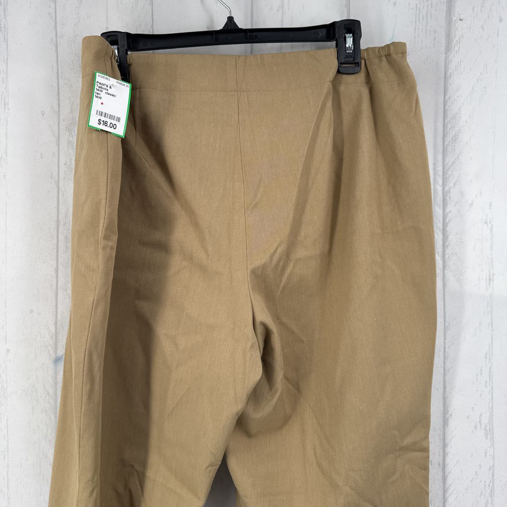14W classic trouser