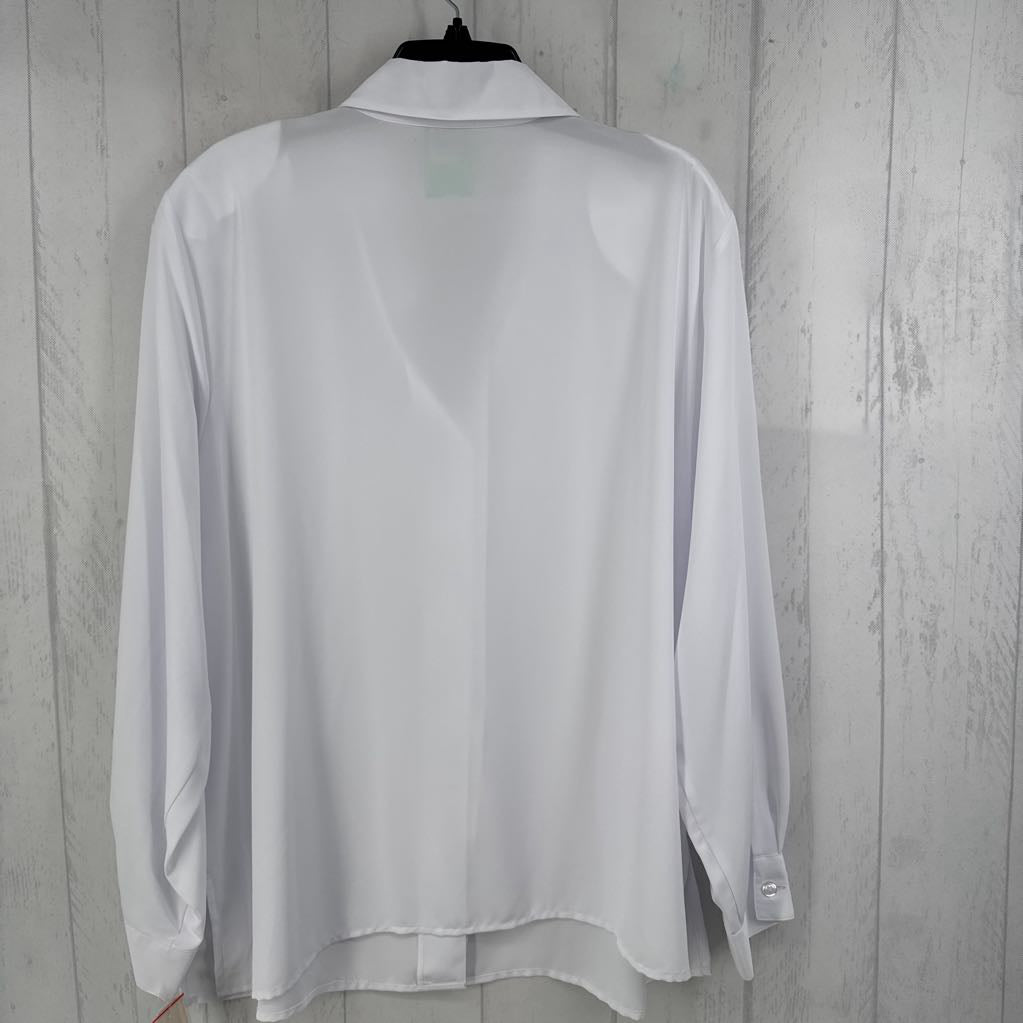 2X button down l/s top